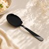 Blaze TPO 2-Piece Stainless Steel Black Serving Panja Rice Spoon Set