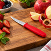 Kiwi 001 Stainless Steel Fruit Carving Knife | 6.5-Inch