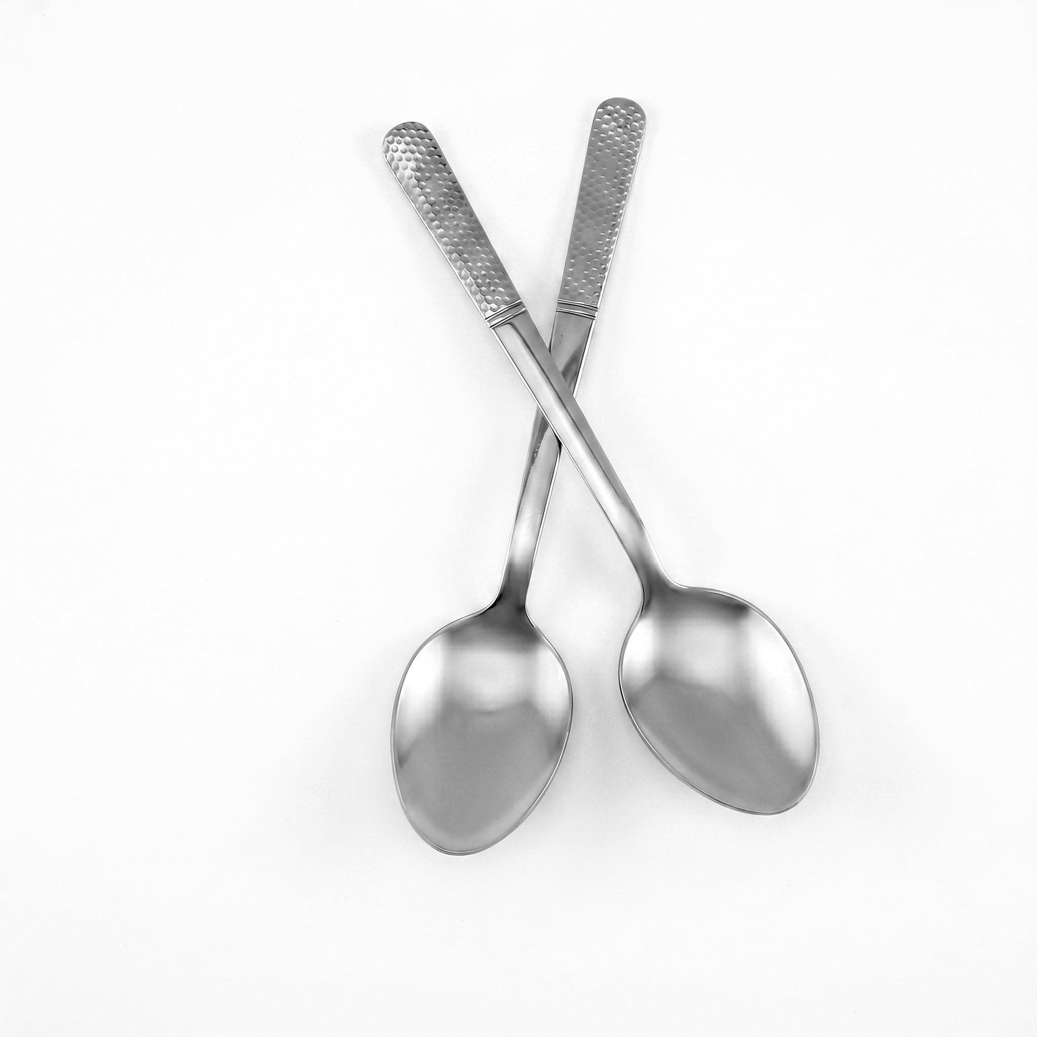 Blaze R.P.2 Stainless Steel 2-Piece Silver Serving Rice Spoon Set