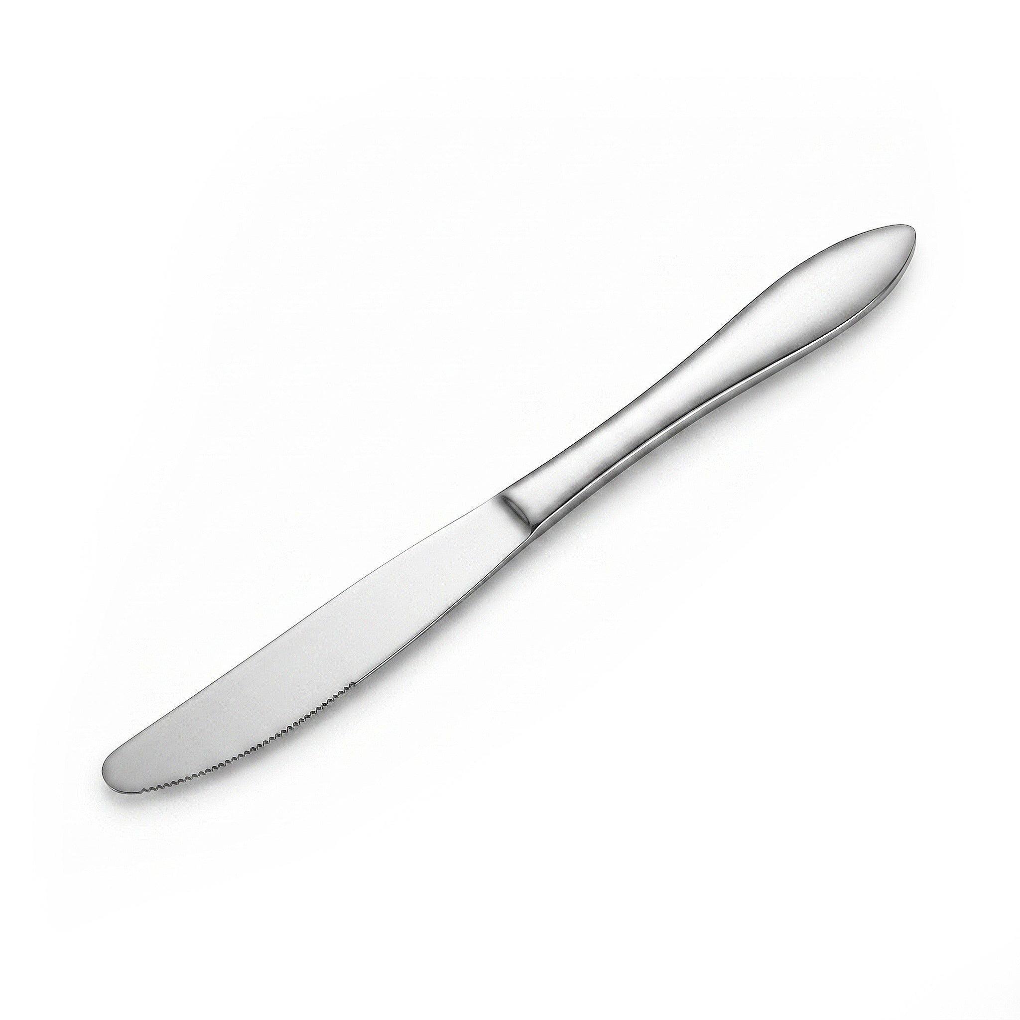 Mirror Polish 6-Piece Stainless Steel Silver Table Knife Set