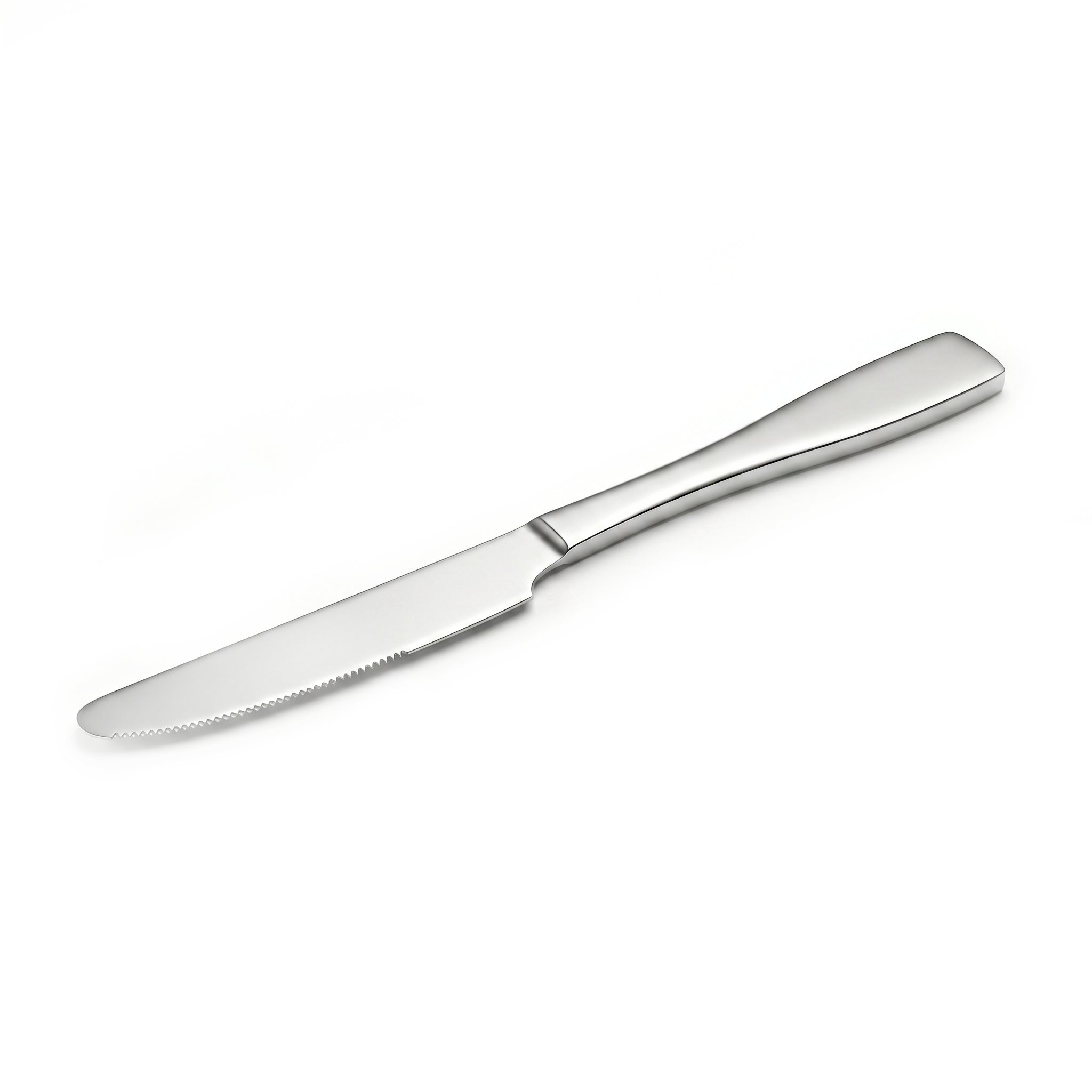 Polish 6-Piece Stainless Steel Silver Table Knife Set