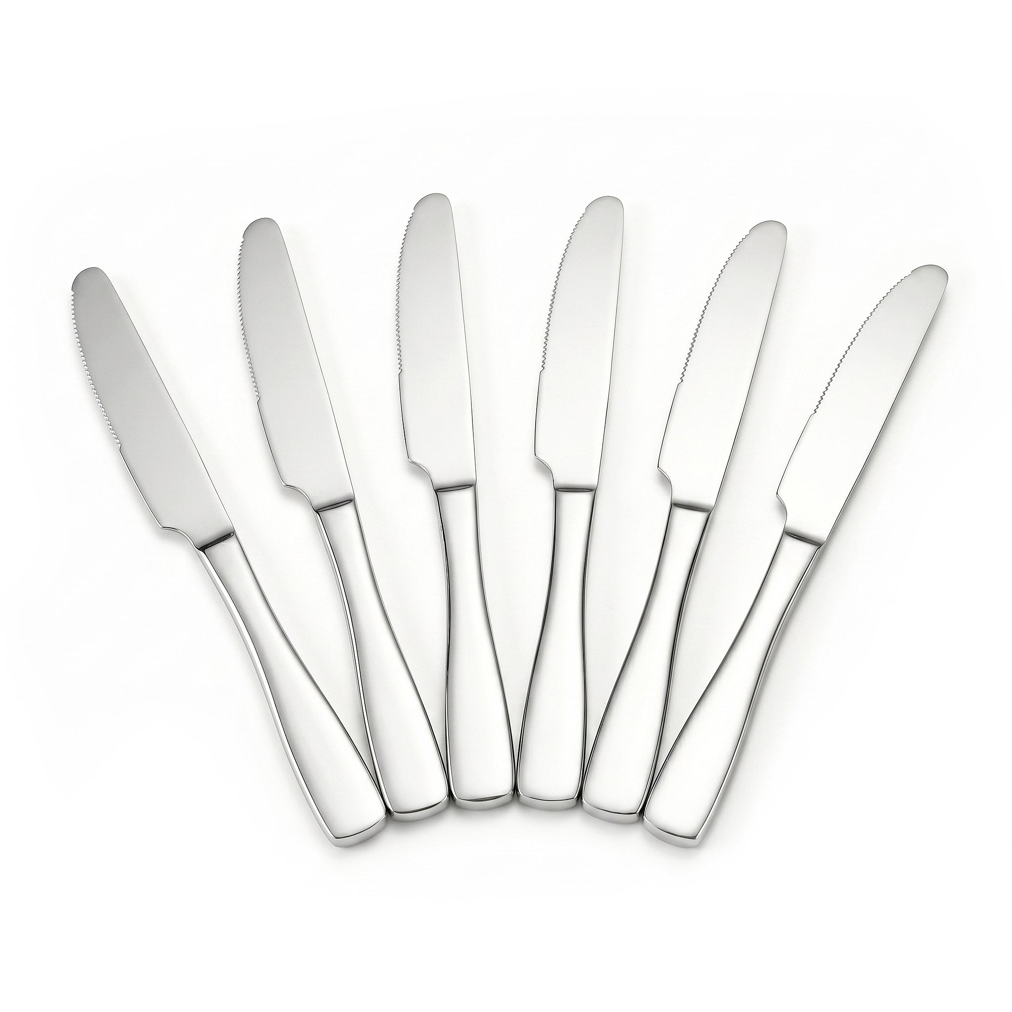 Polish 6-Piece Stainless Steel Silver Table Knife Set