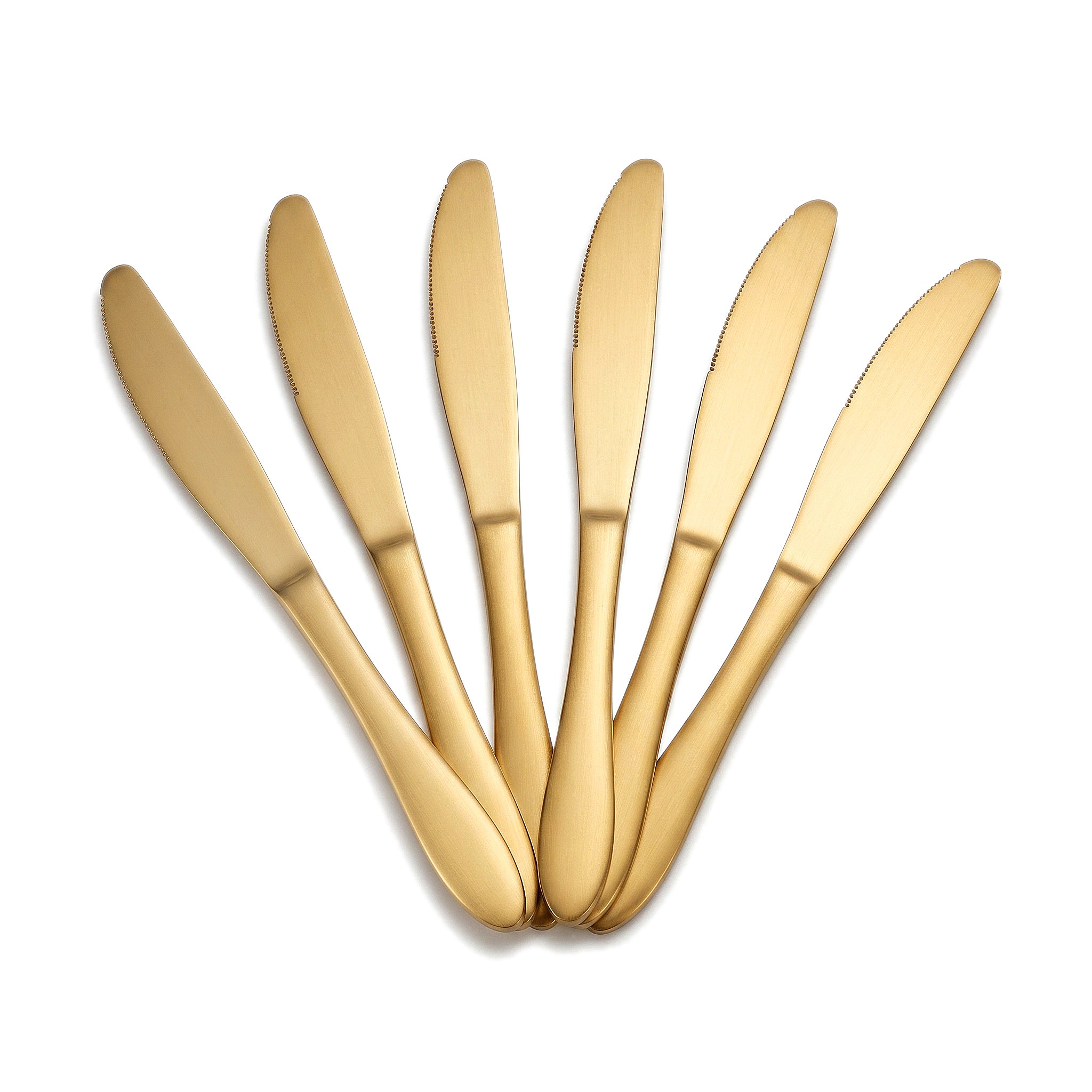 H.P 6-Piece Stainless Steel Golden Table Knife Set