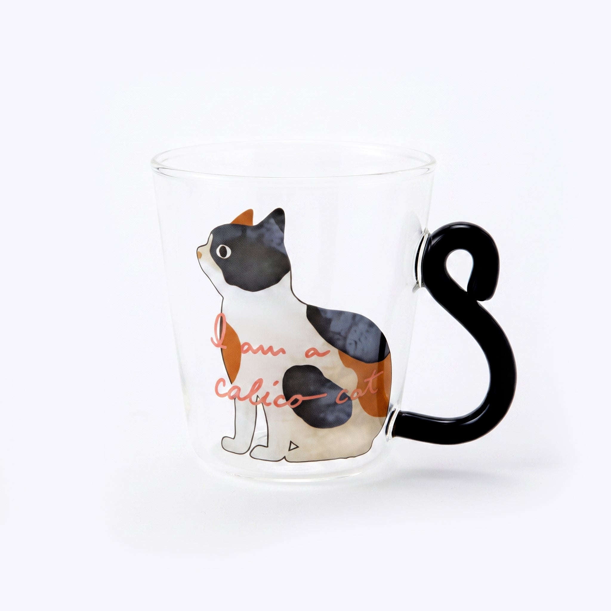D.W.M 300 ML  Borosilicate Glass Mug Kaka Bawa Sons