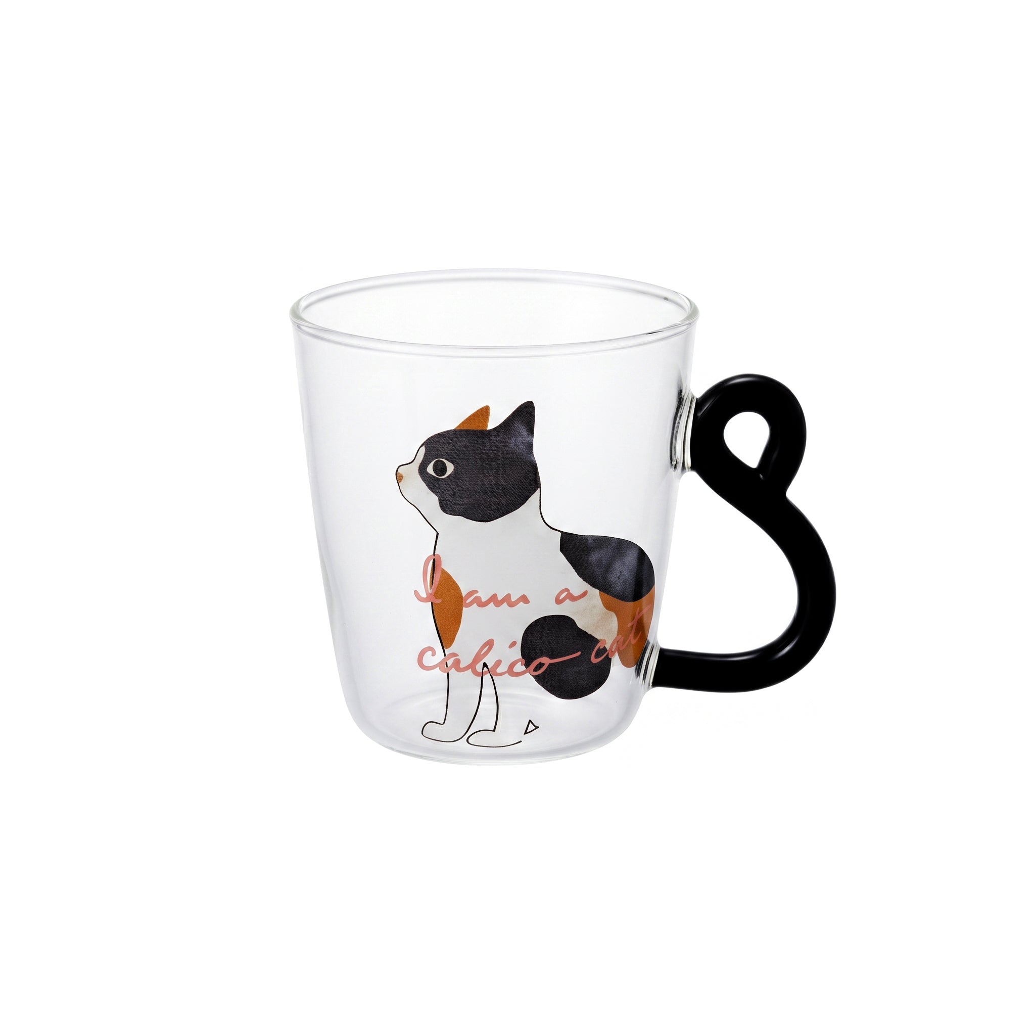 D.W.M 300 ML  Borosilicate Glass Mug Kaka Bawa Sons