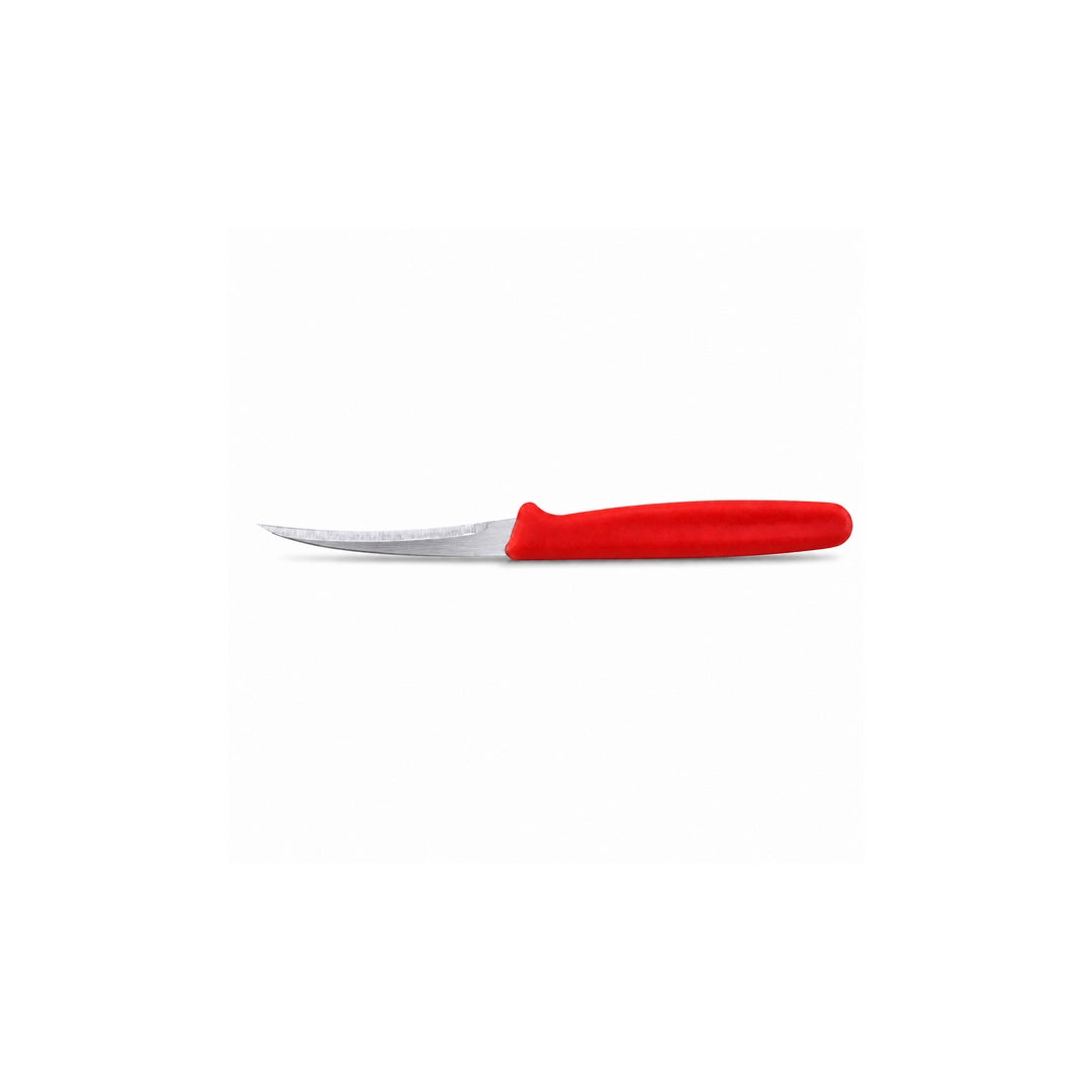 Kiwi 001 Stainless Steel Fruit Carving Knife | 6.5-Inch
