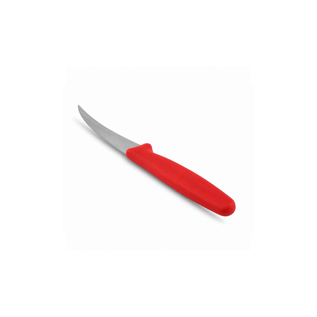 Kiwi 001 Stainless Steel Fruit Carving Knife | 6.5-Inch