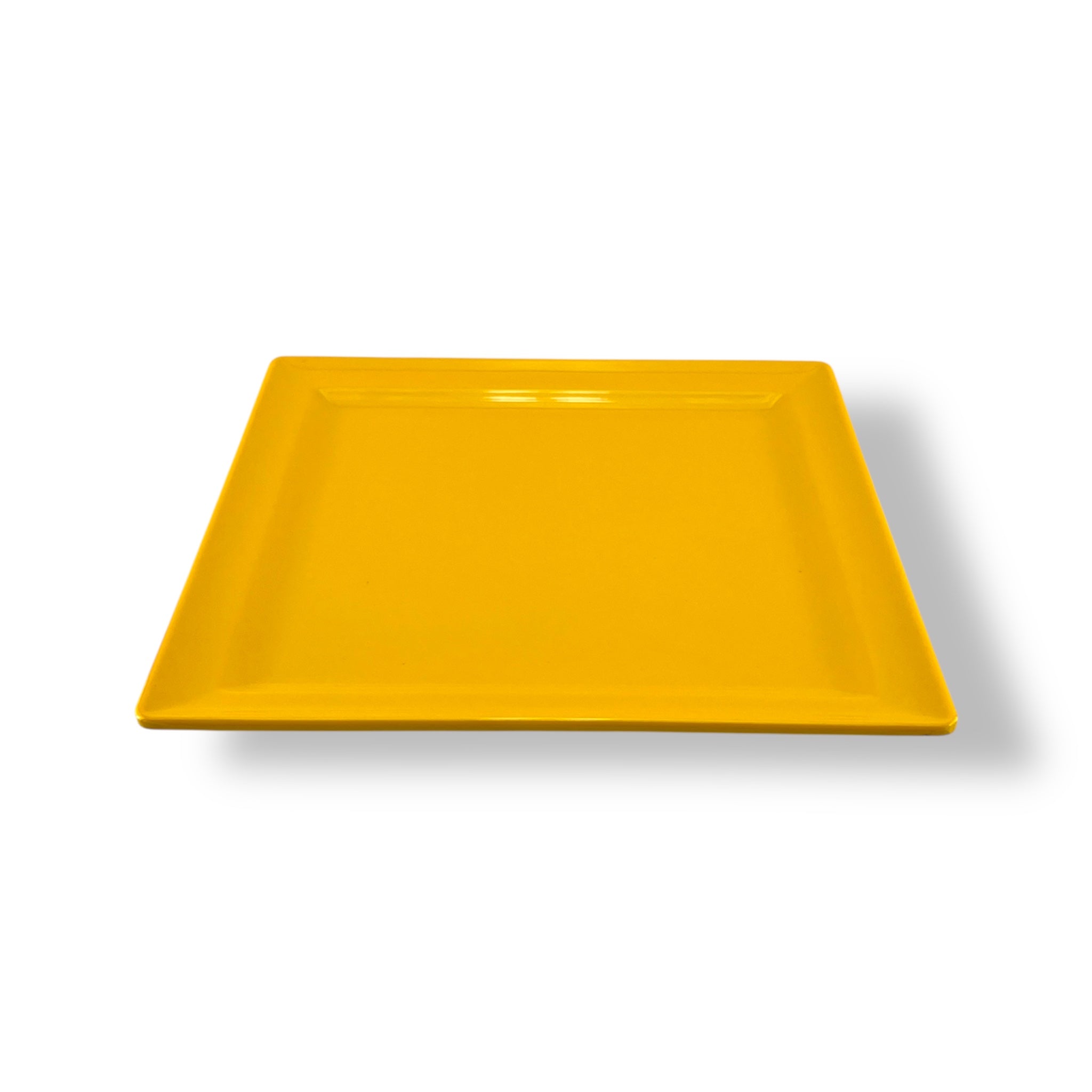 Blaze Rio Melamine Plate