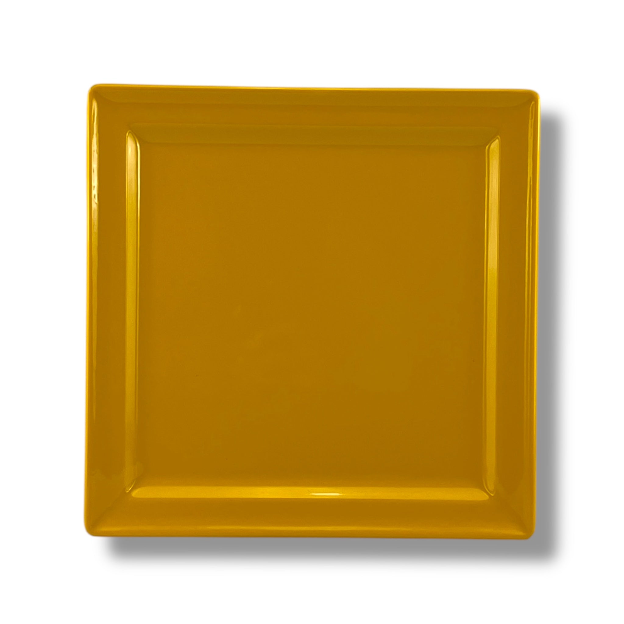 Blaze Rio Melamine Plate