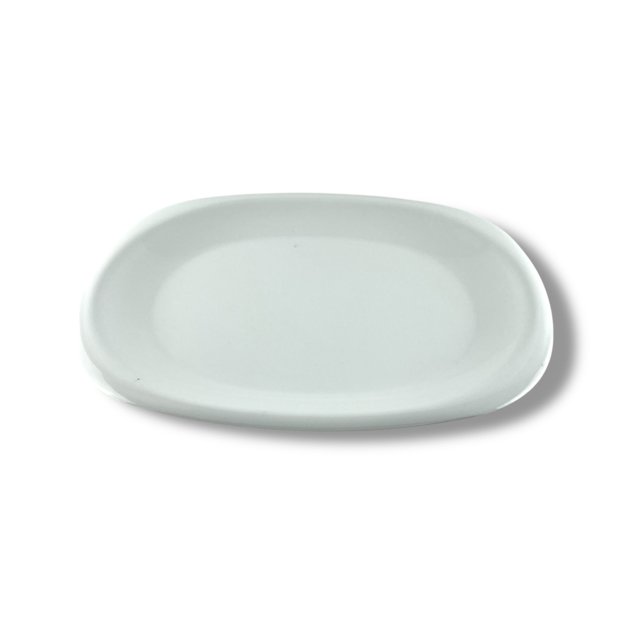 Blaze Elite Melamine Dish