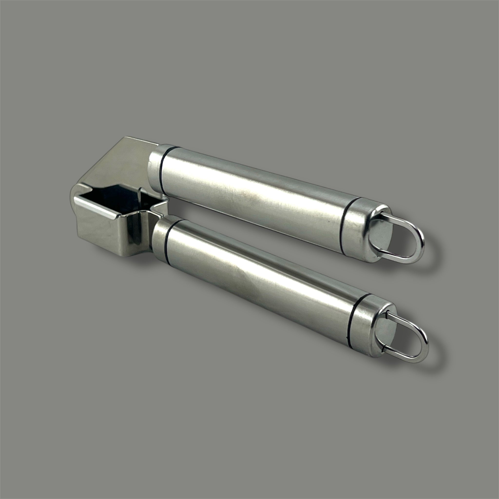 Top Choice Stainless Steel Garlic Press