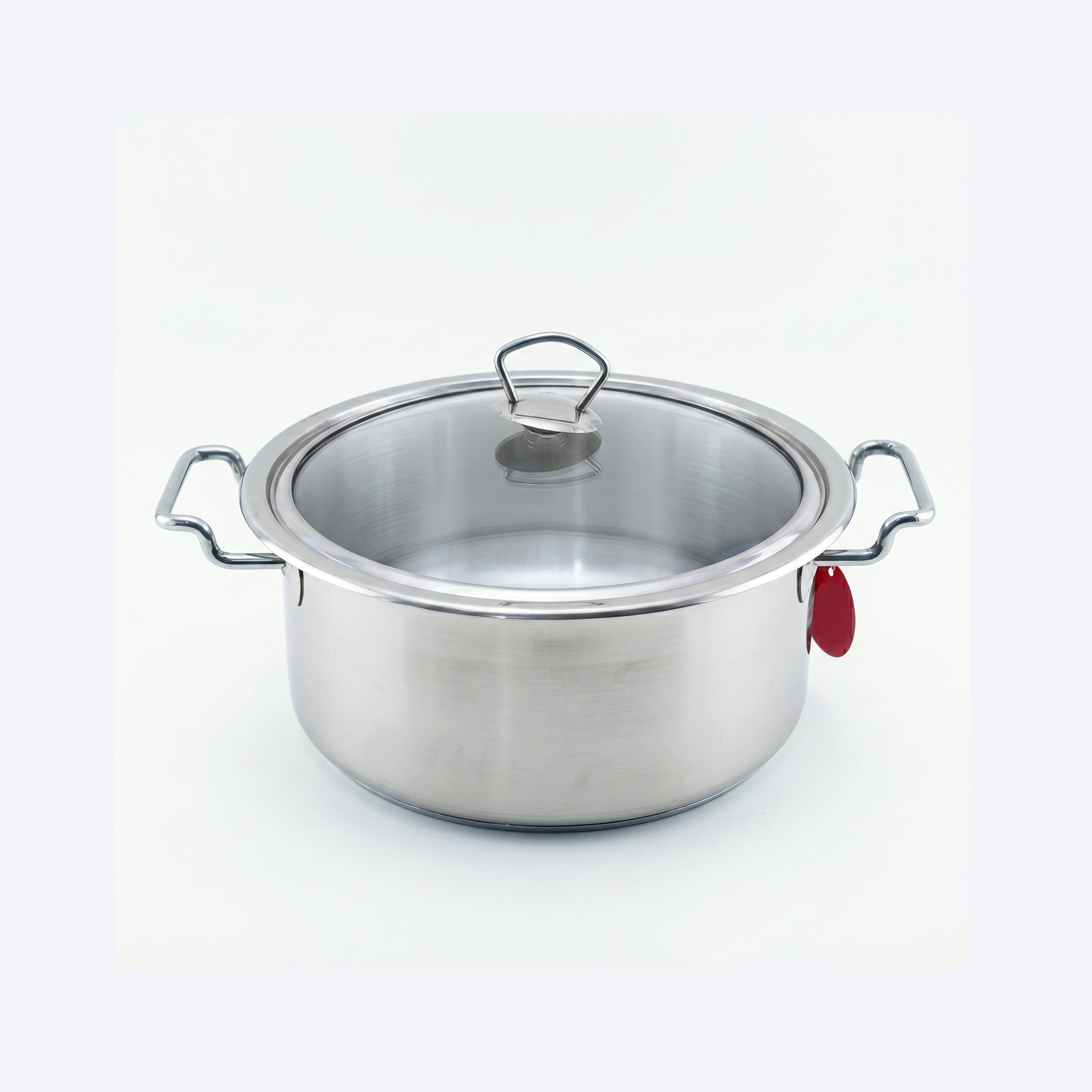Alpha Stainless Steel Cooking Pot