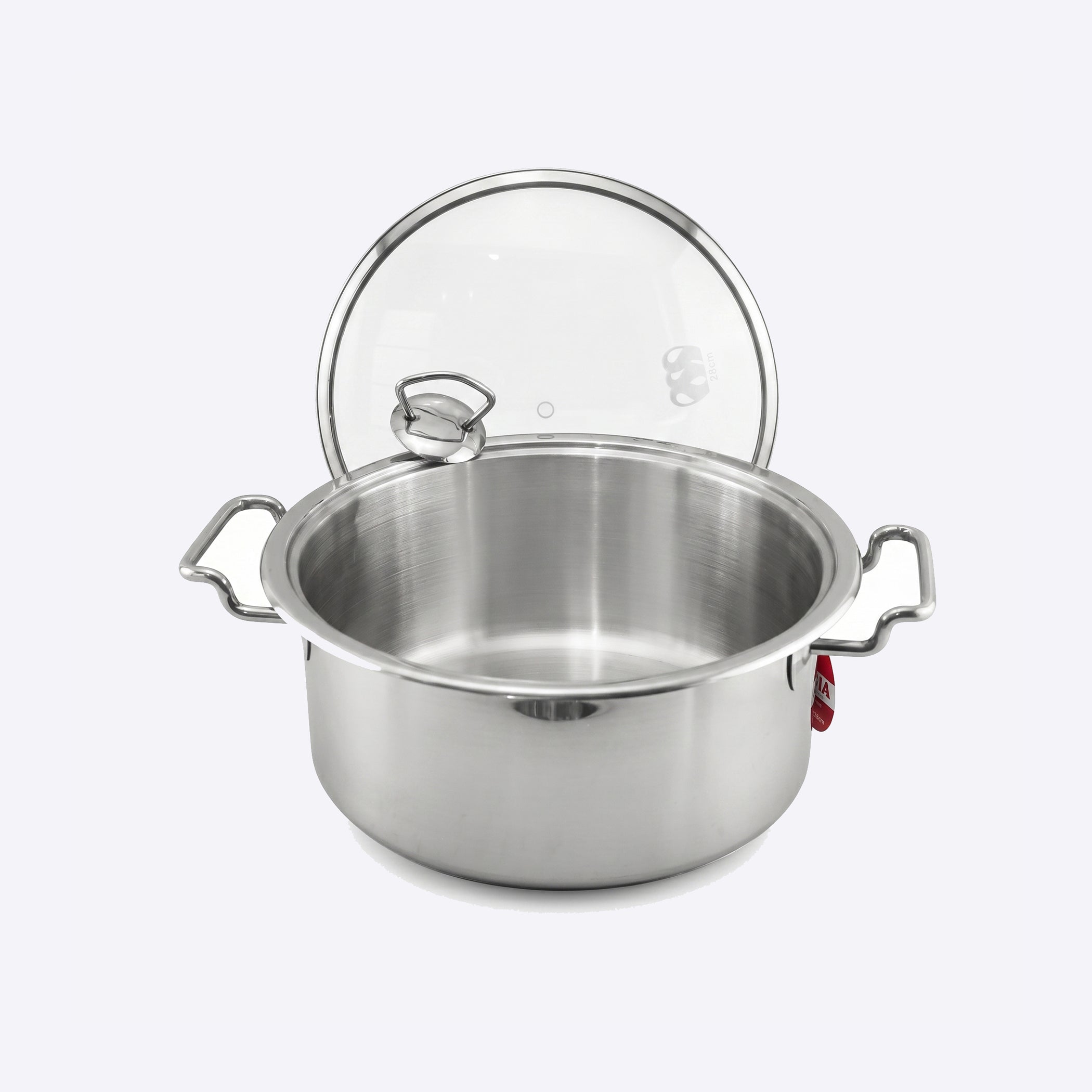Alpha Stainless Steel Cooking Pot