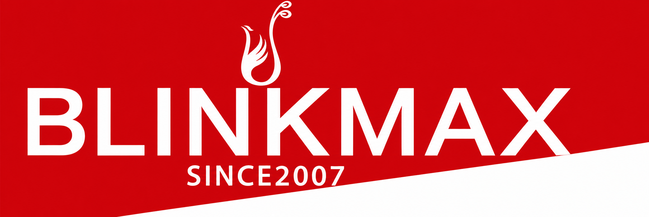 Blinkmax Logo