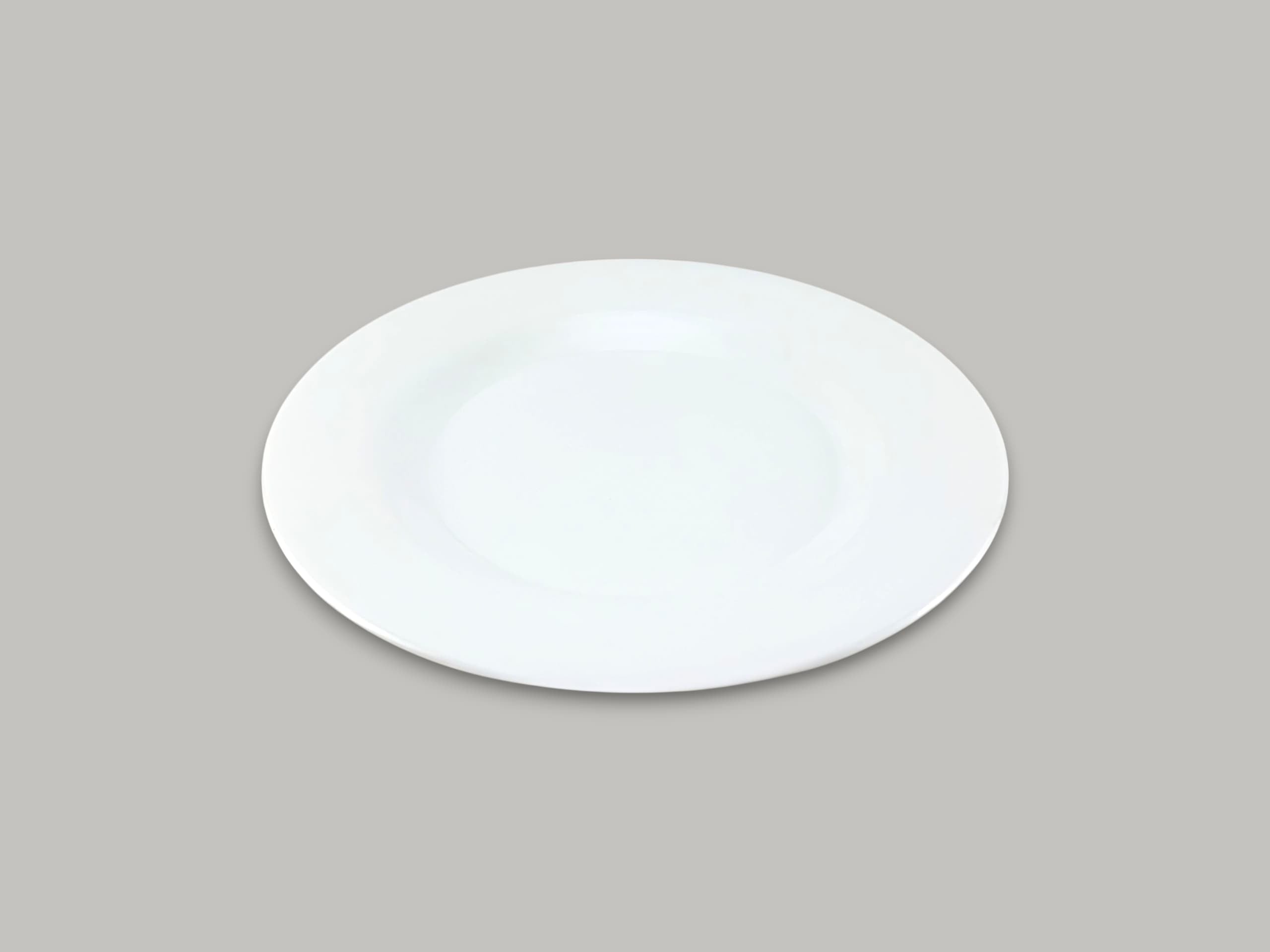 Blaze Classic Melamine Flat Plate