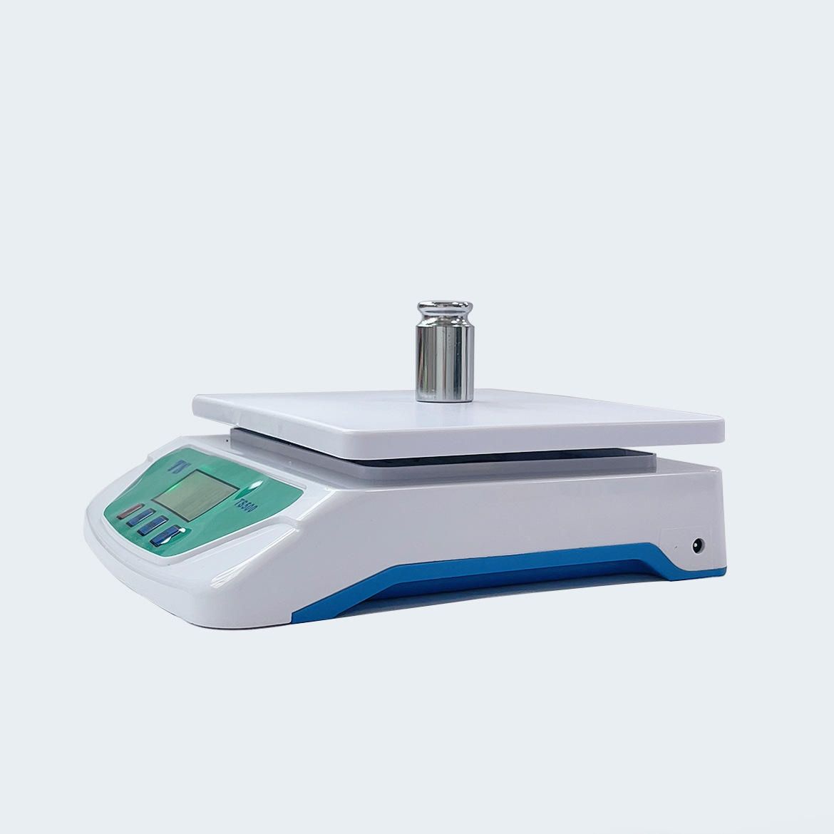 Digital Weight Scale