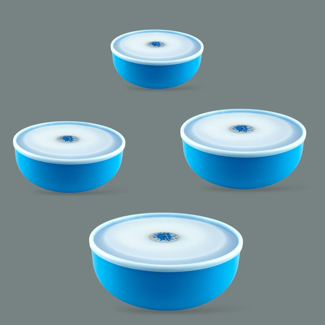 4-Piece Splash Food Container Set
