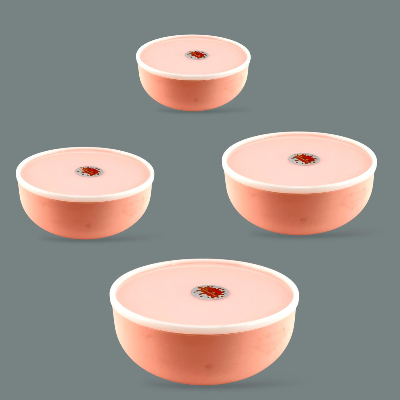 4-Piece Splash Food Container Set