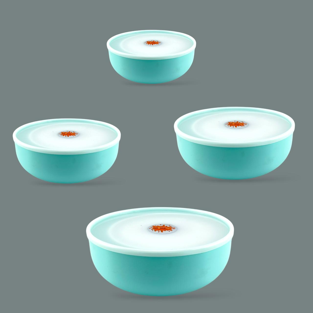 4-Piece Splash  Food Container Set