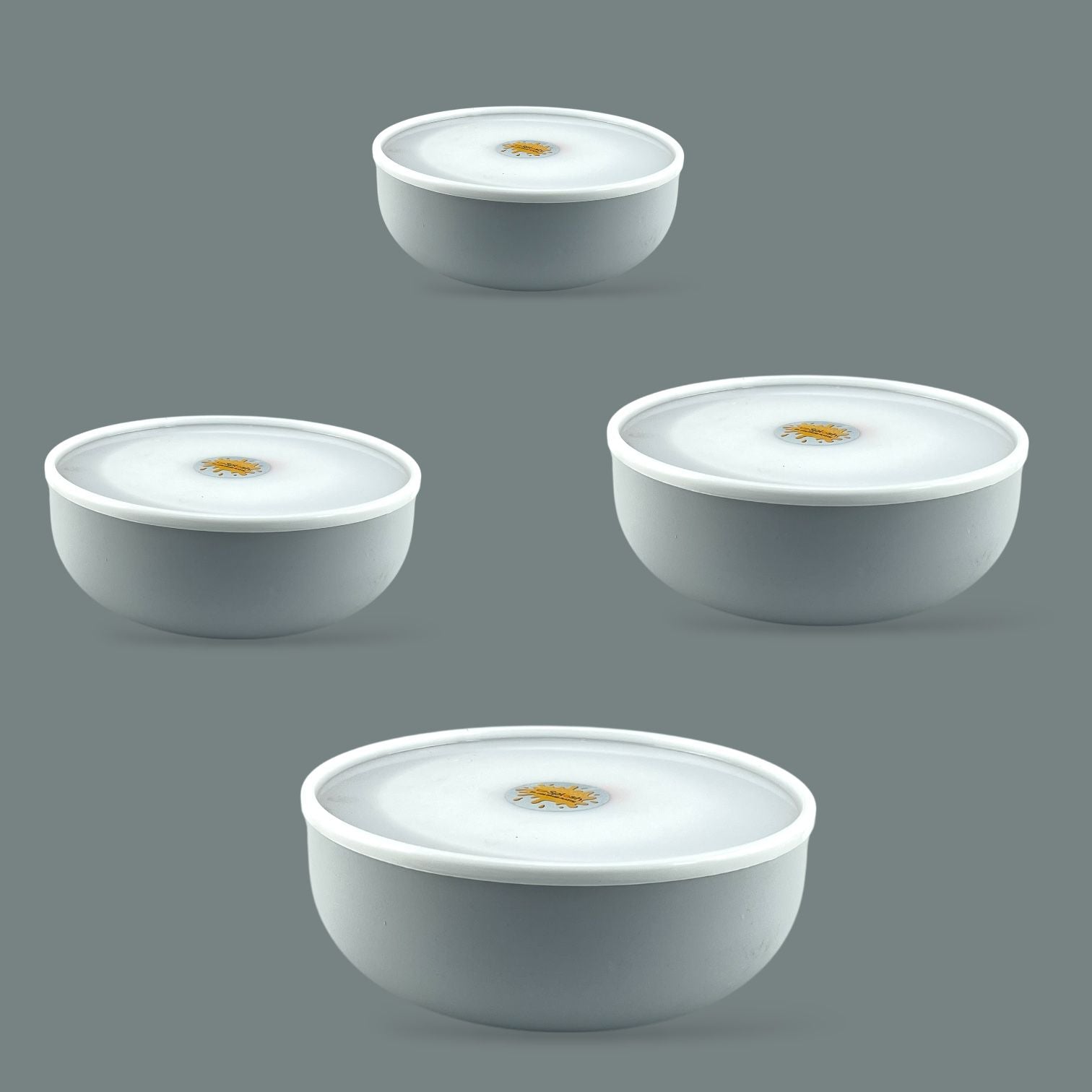 4-Piece Splash  Food Container Set